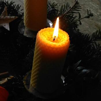 1. Advent