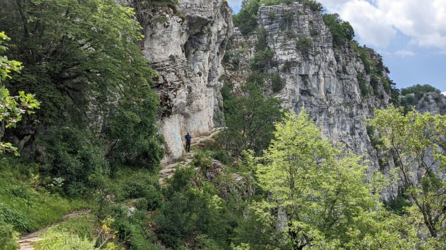 Suchbild Vikos Schlucht