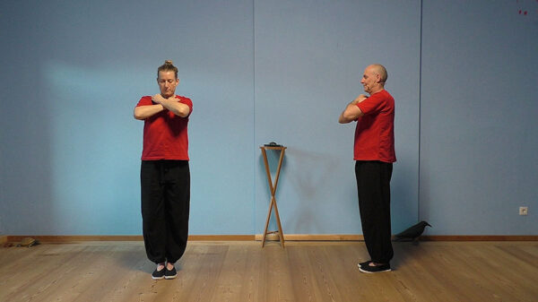 ONLINE Workshop Qigong – ab 5. März 2025